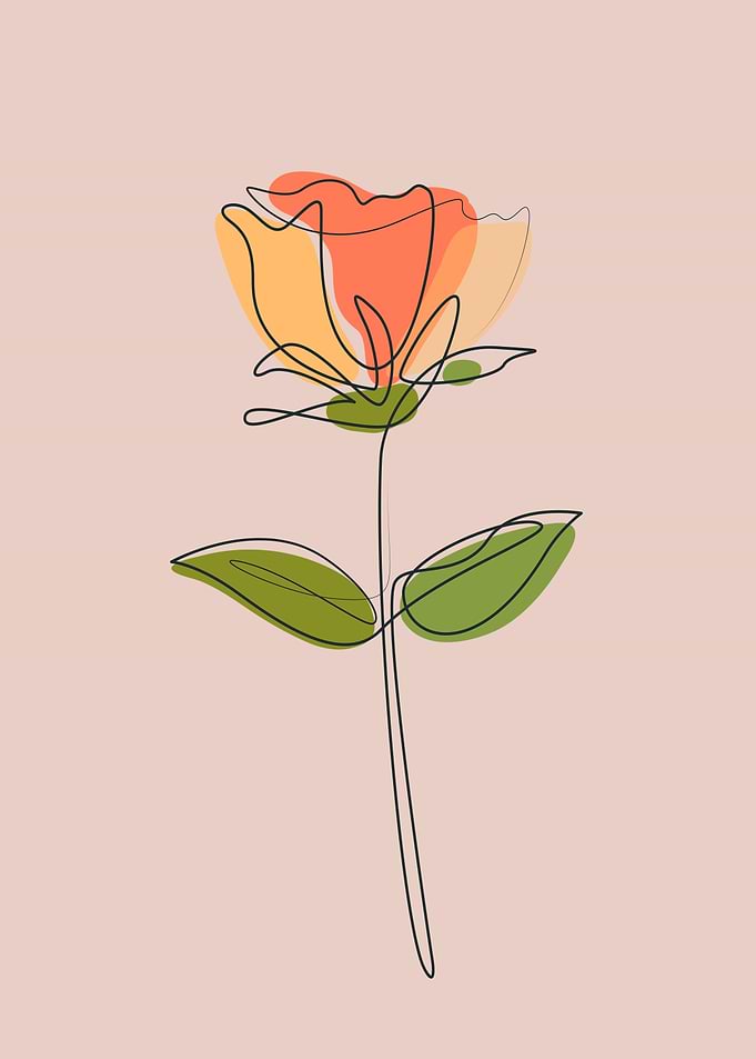 Cute Floral rose line art