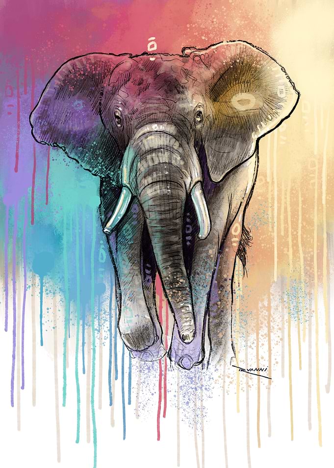 Holi Elephant
