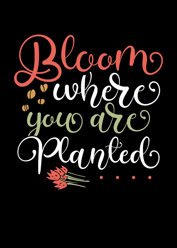 Bloom where you are