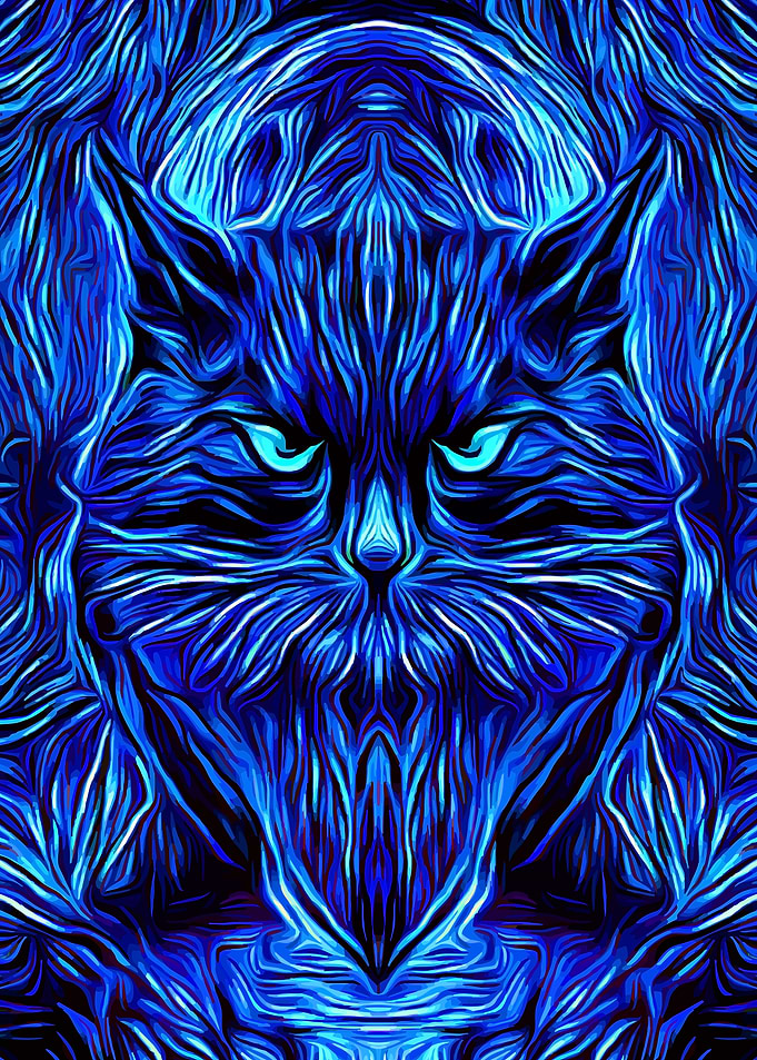 Black Cat Moon Night