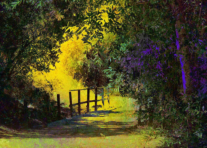 Jungle Path