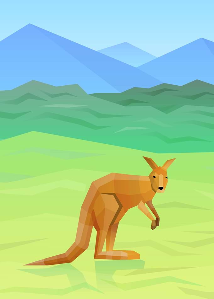 kangaroo