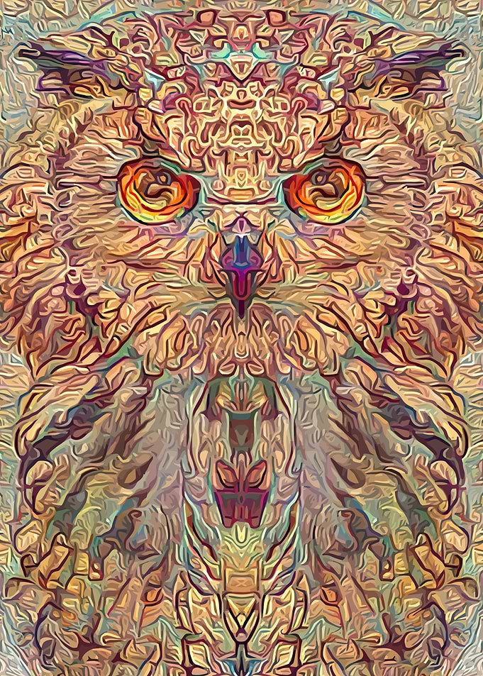 Owl Vintage