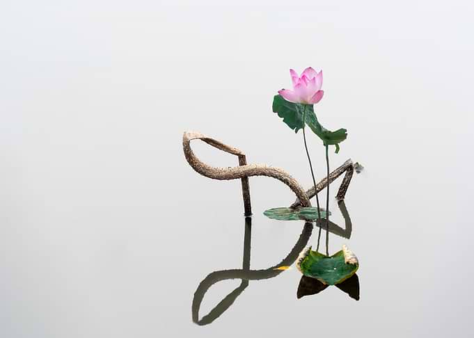 Remnant lotus