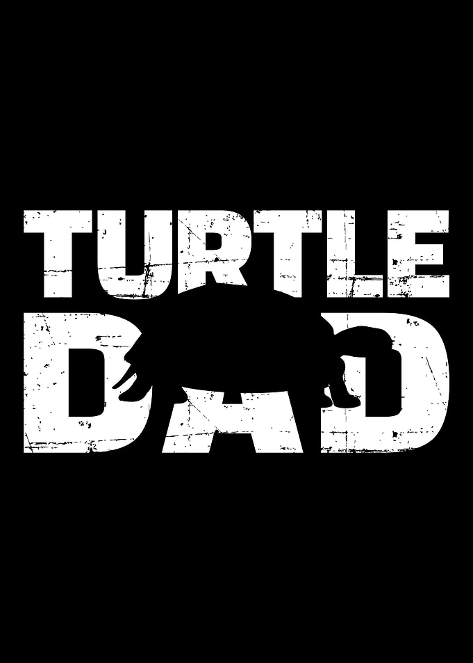 Turtle dad fathers day gi
