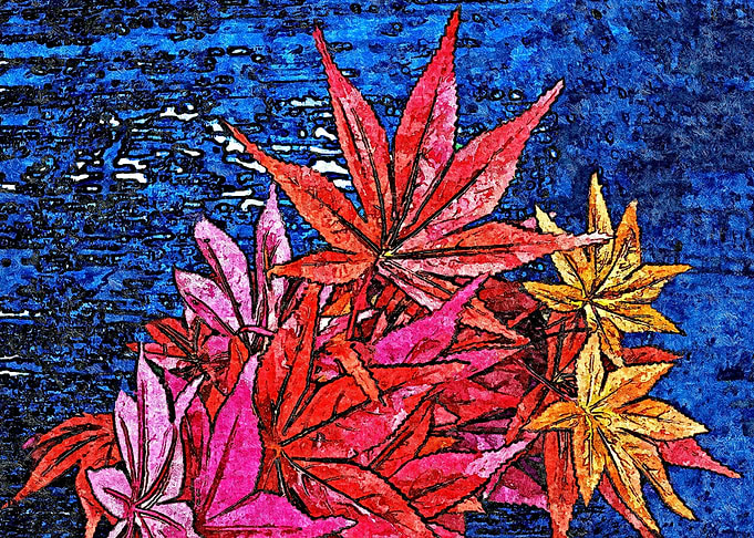 Japanese Red Maple Leaves
