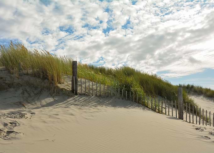 Sand dune