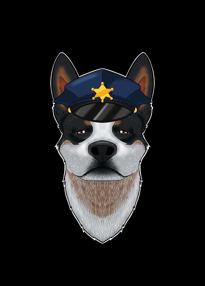 Police Australian Cattle