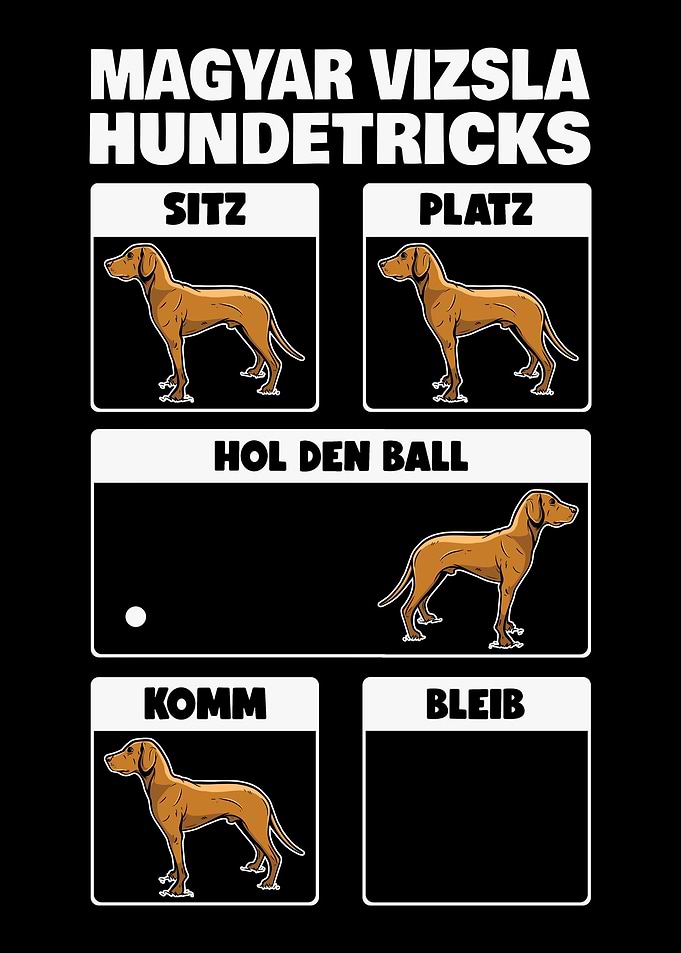 Magyar Vizsla Hundetricks