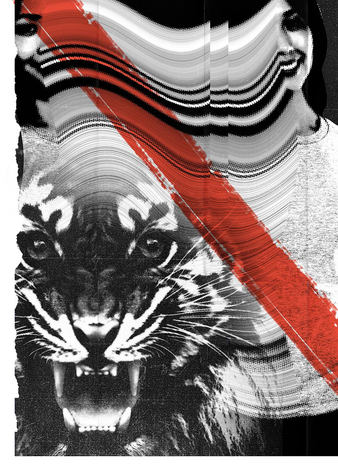 Tiger Vol 10