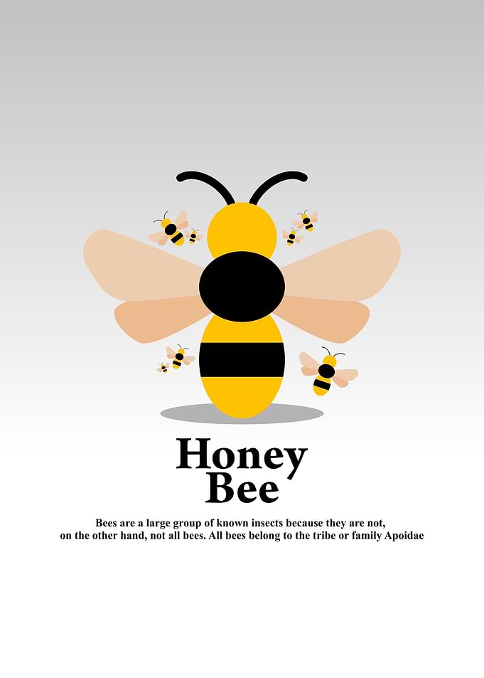 Honey Bee