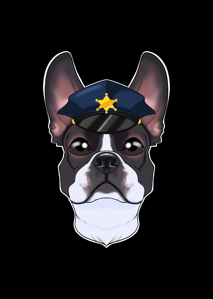 Police Boston Terrier