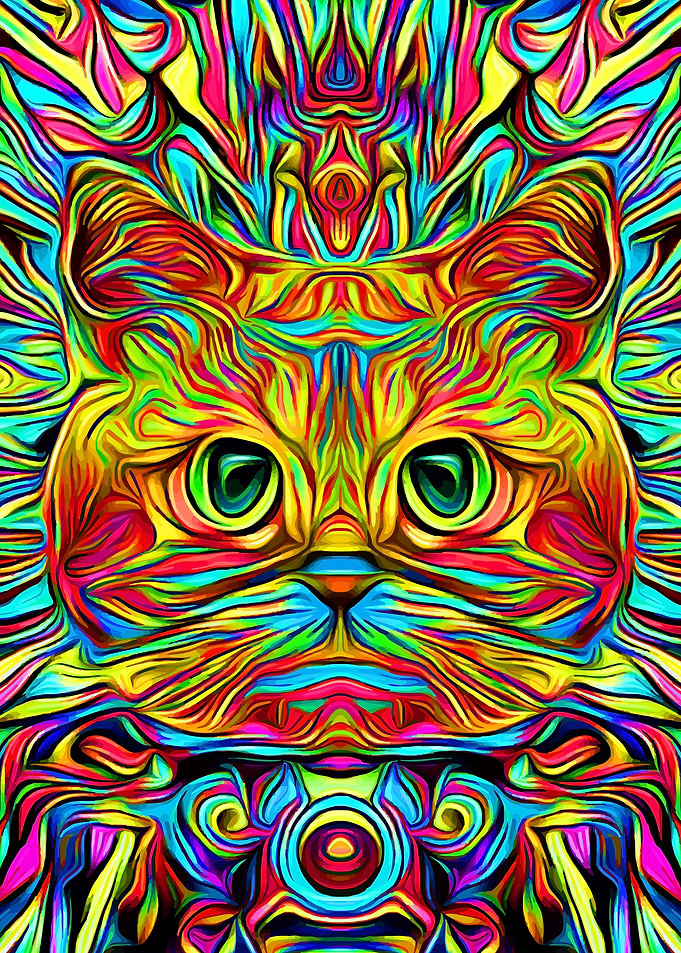 Psychedelic Cat Colorful 2