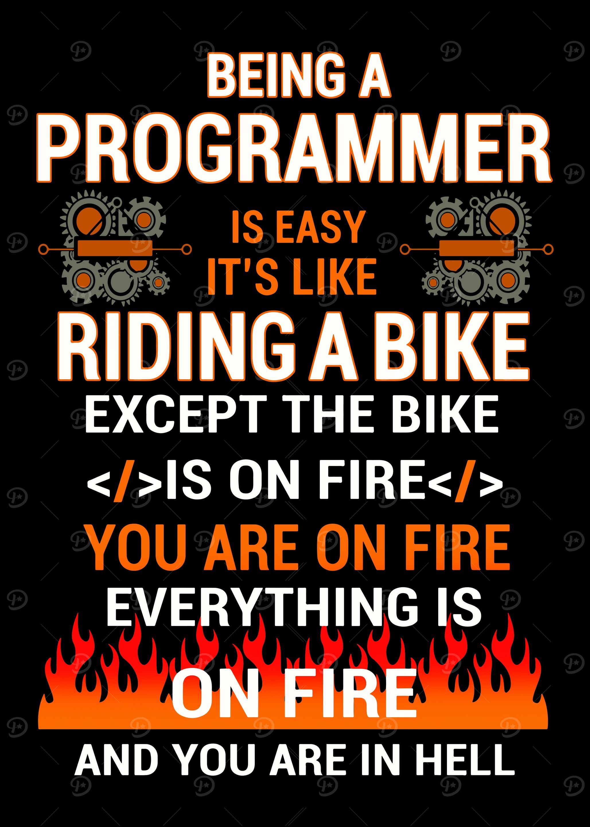 Programmer