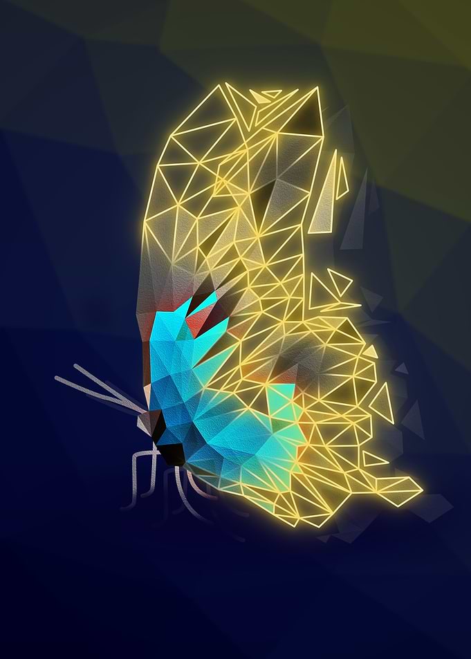 Geometric butterfly