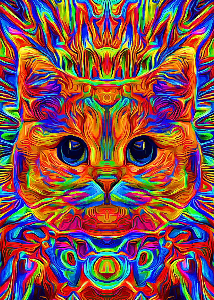 Psychedelic Cat colorful