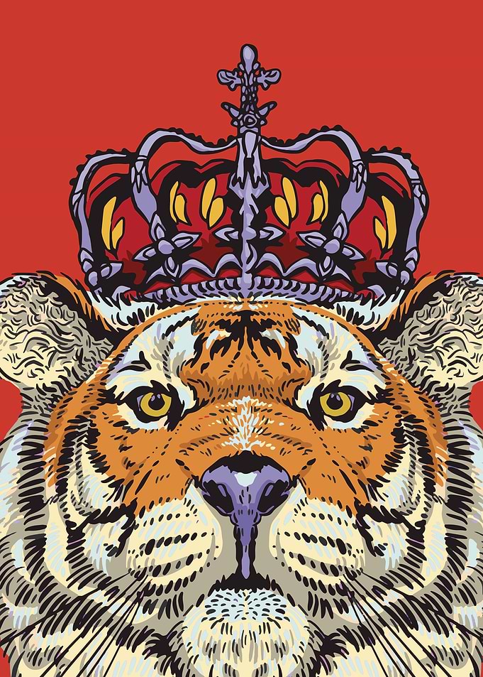 Tiger Vol 9