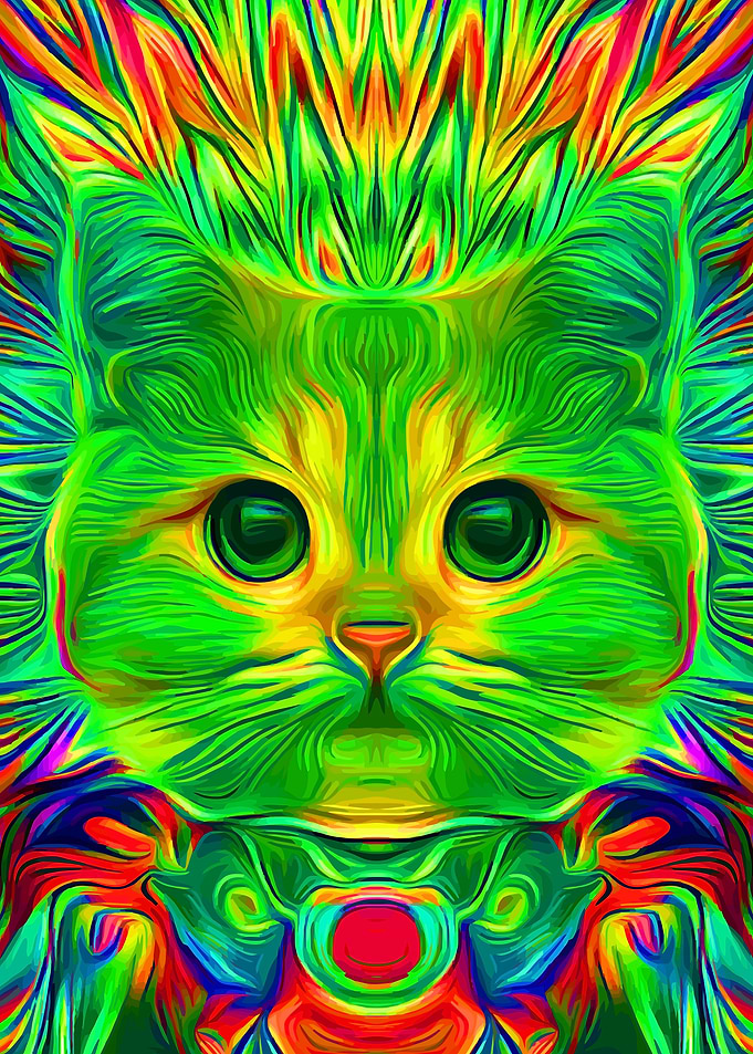 Psychedelic Cat Trippy Art