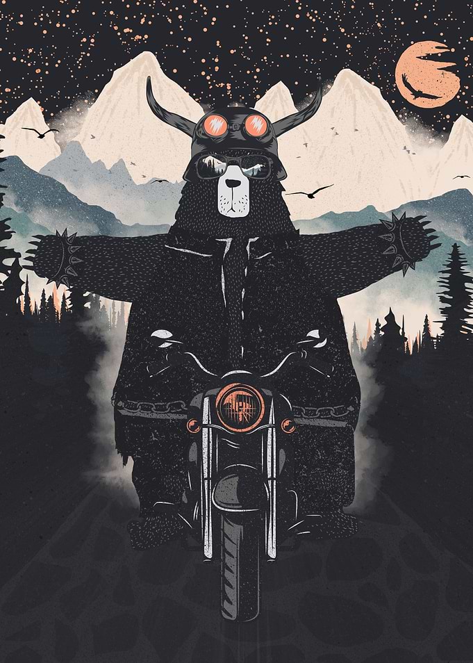 Wild Biker