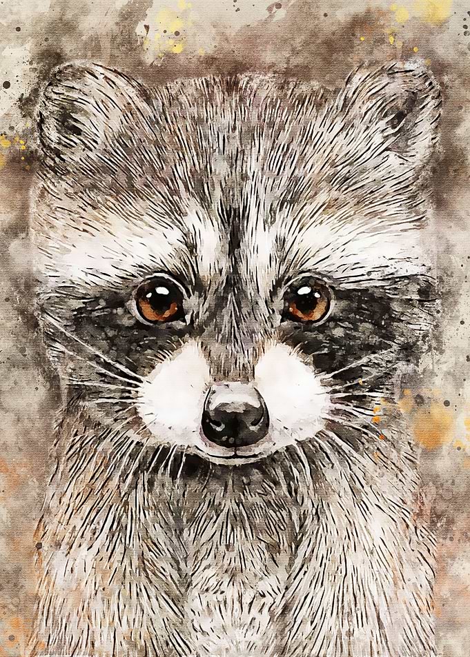 mongoose Watercolor