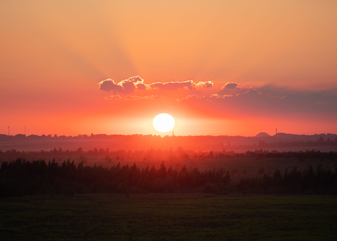 Meadow at sunset