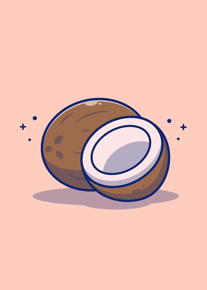 Coconut And Slices Coconut