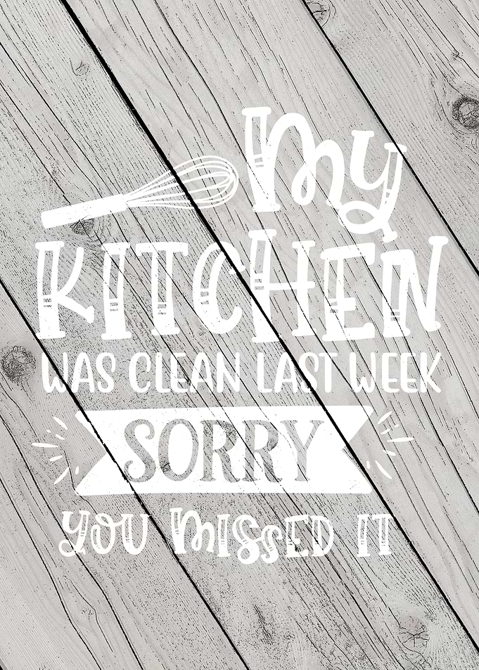 My kitchen was clean last