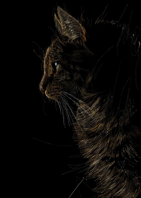 Scribble Cat
