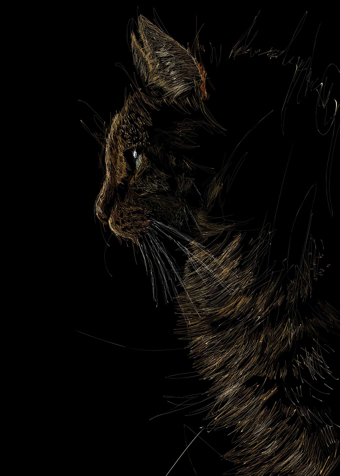 Scribble Cat
