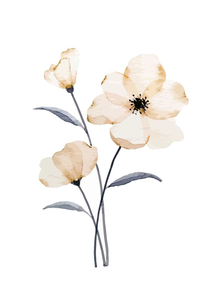Floral Flower