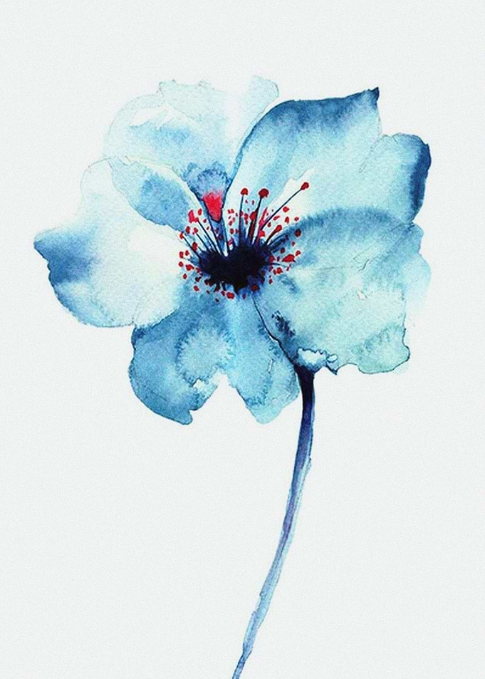 Floral Flower