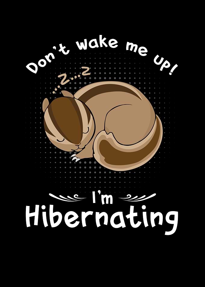 Dont wake me up Im