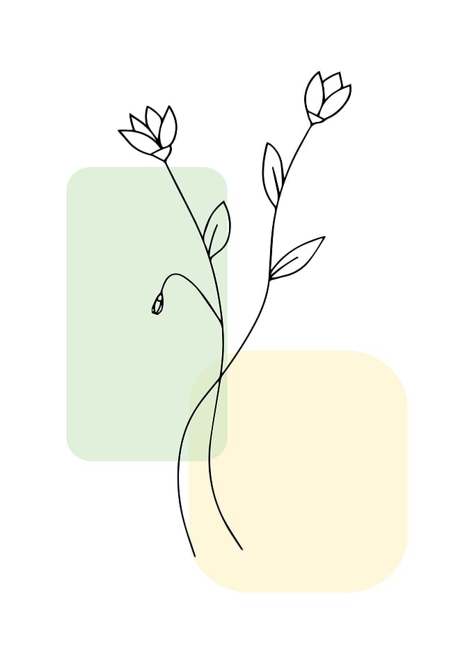 Minimalist wild flowers