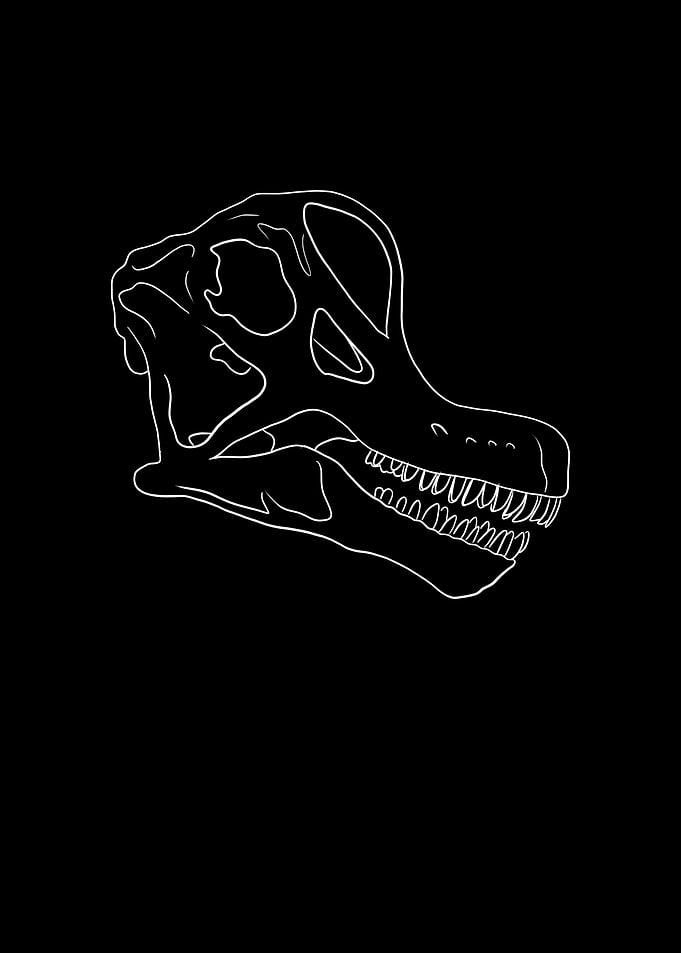 Dinosaurier Fossil Skelett