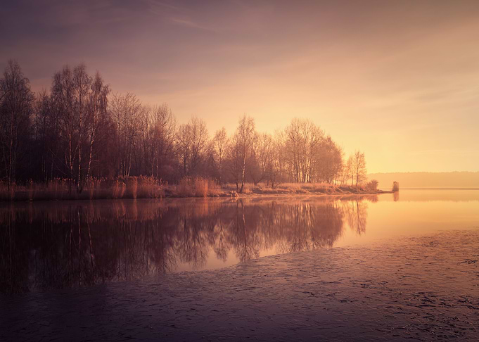 Winter sunrise lake trees