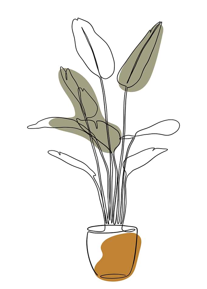 Minimal plant one line art
