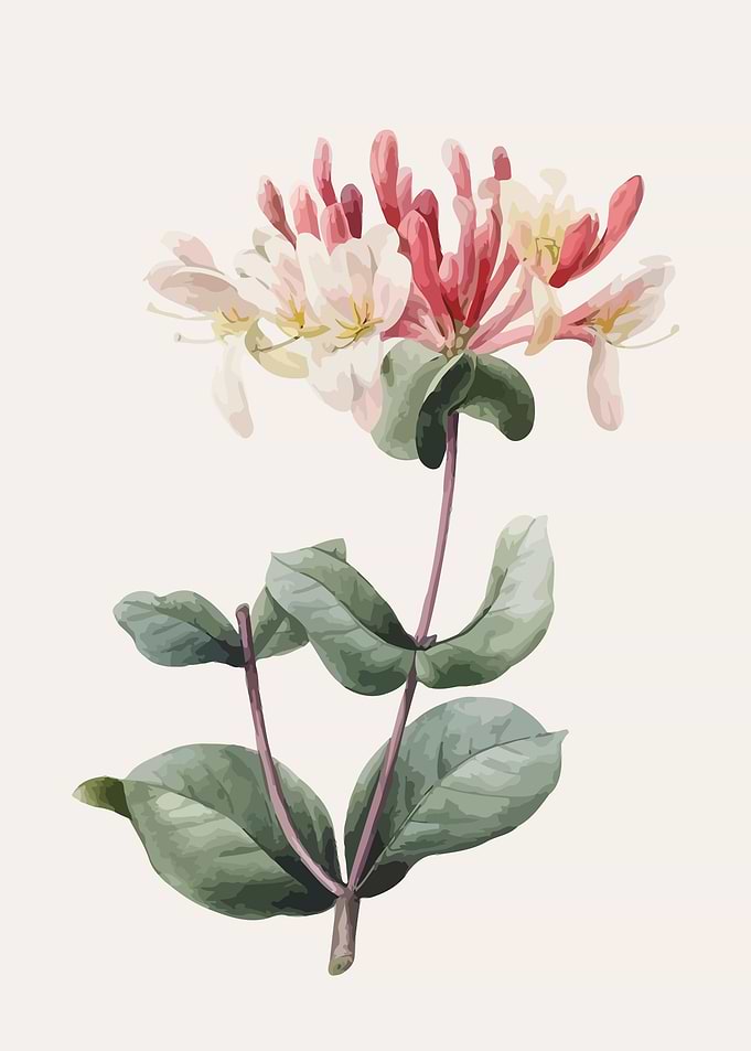 Floral Flower