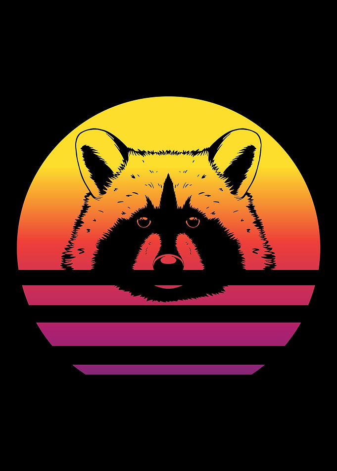 Raccoon Retro Vintage
