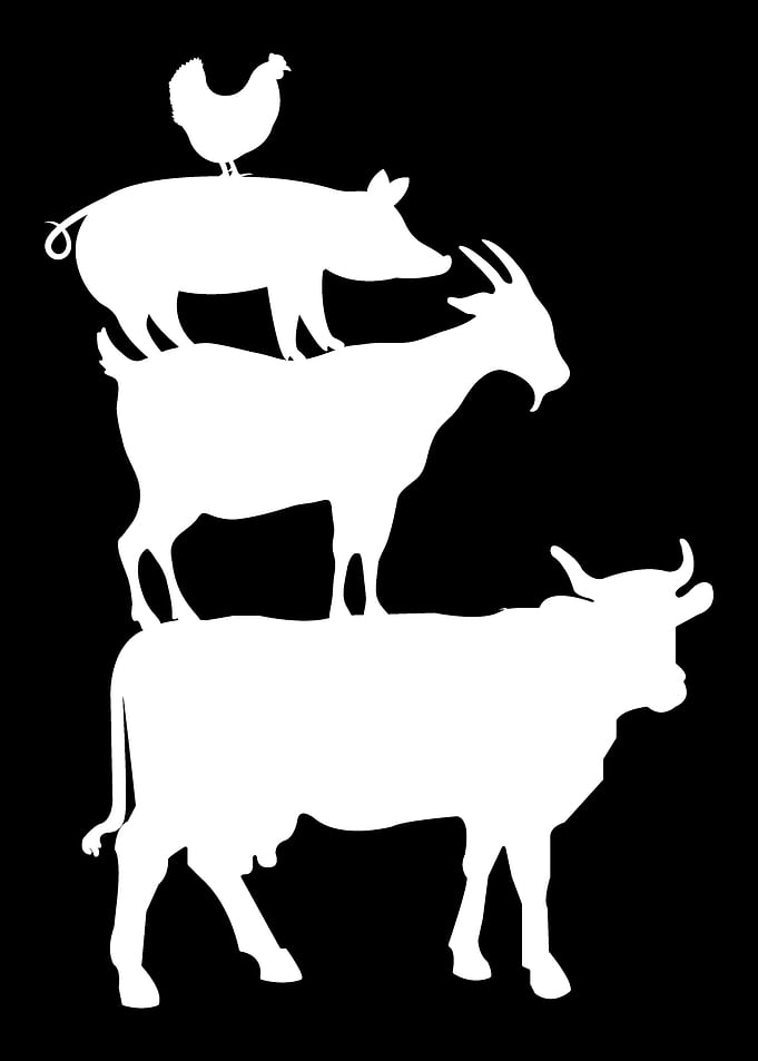 Cow Goat Pork Chicken Farm