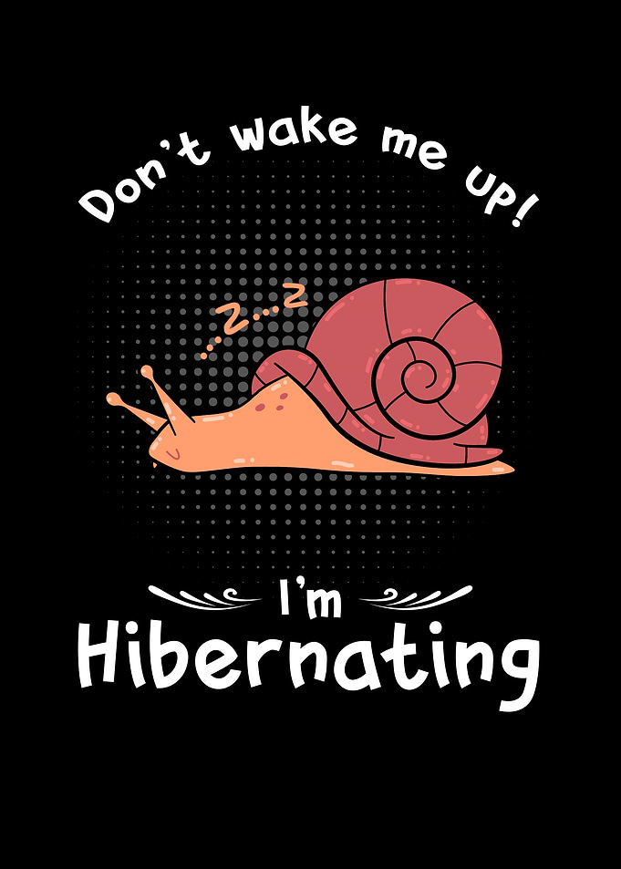 Dont wake me up Im