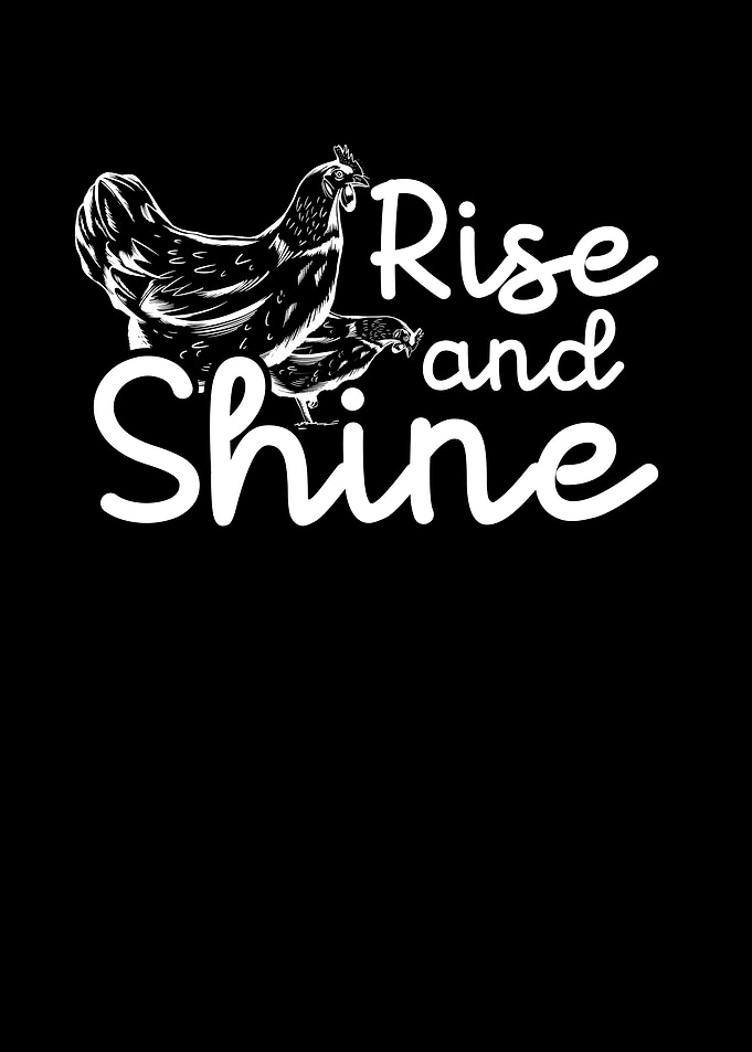 Rise and shine chicken