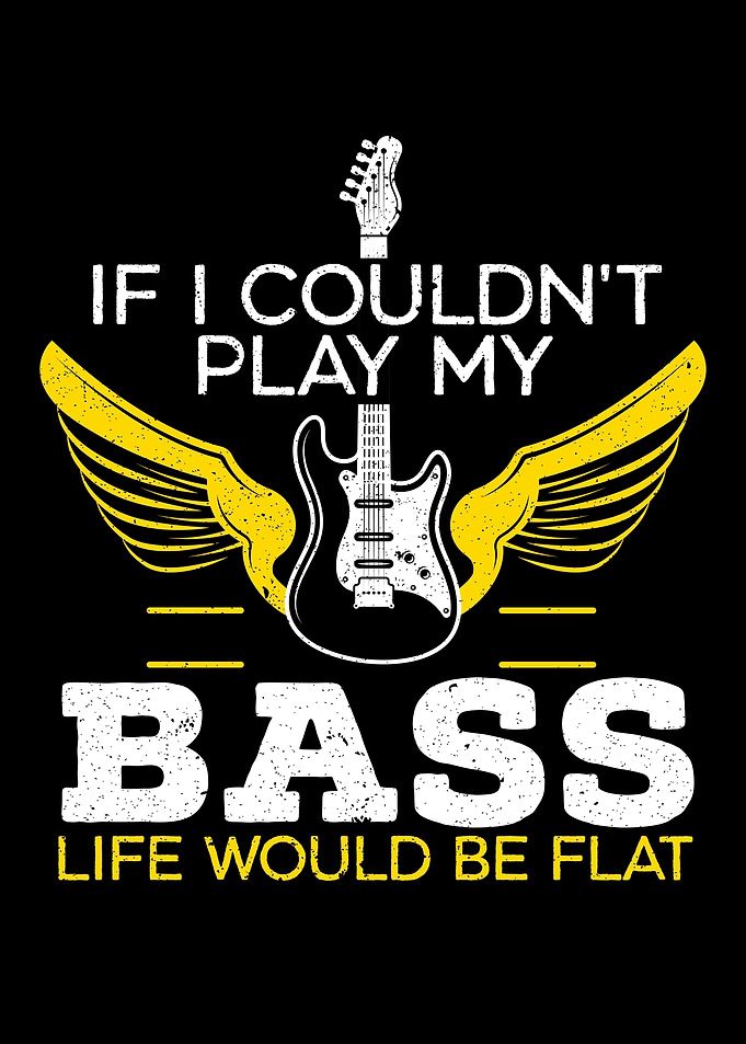 If I Couldnt Play My Bass
