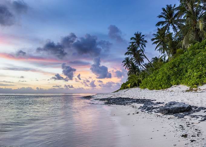 Sandy Palm Sea Beach