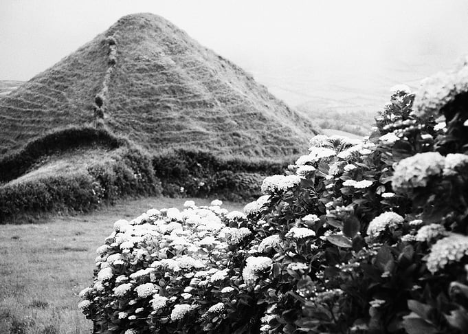 Black and white landscape