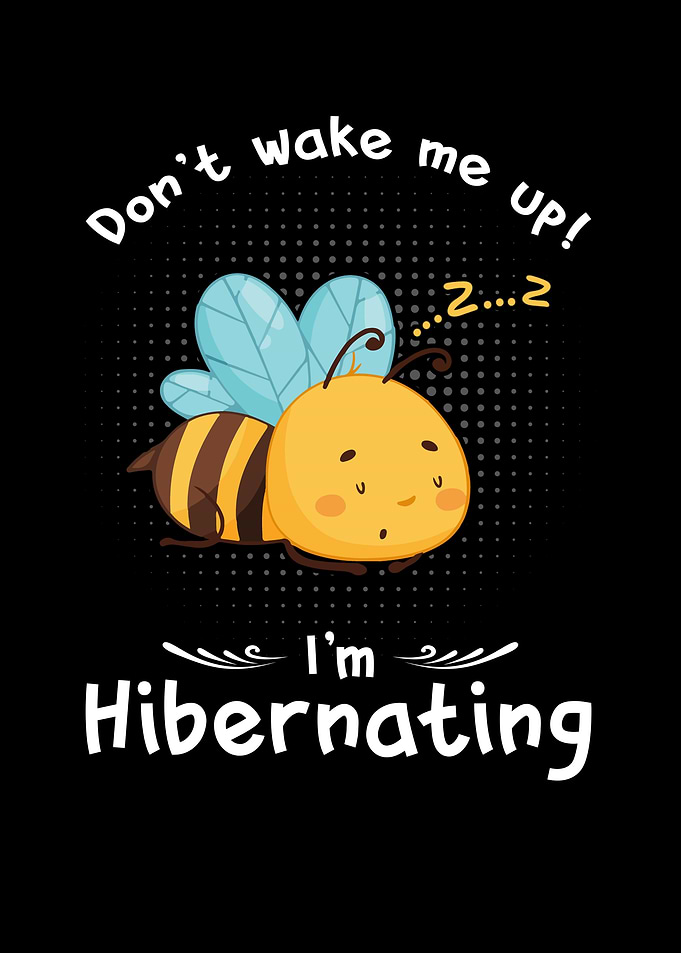 Dont wake me up Im