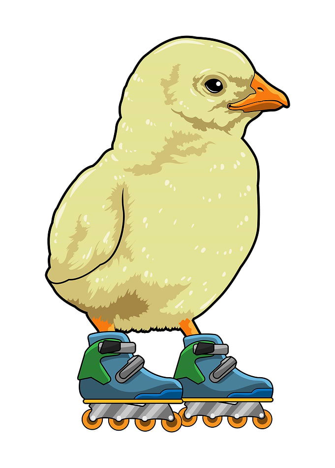 Chick Inline skates Sports