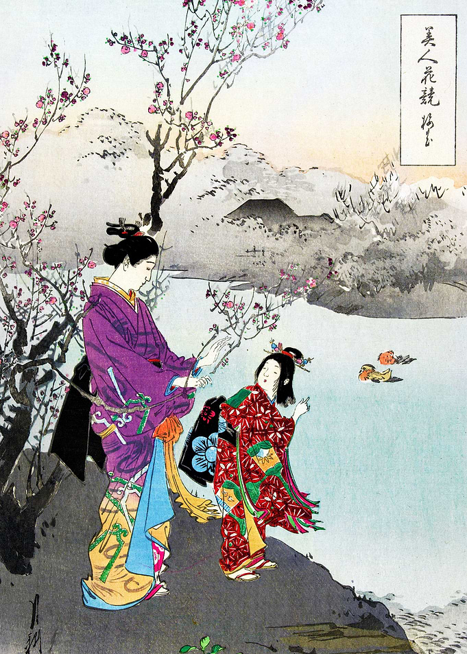 Admiring the Plum Blossom