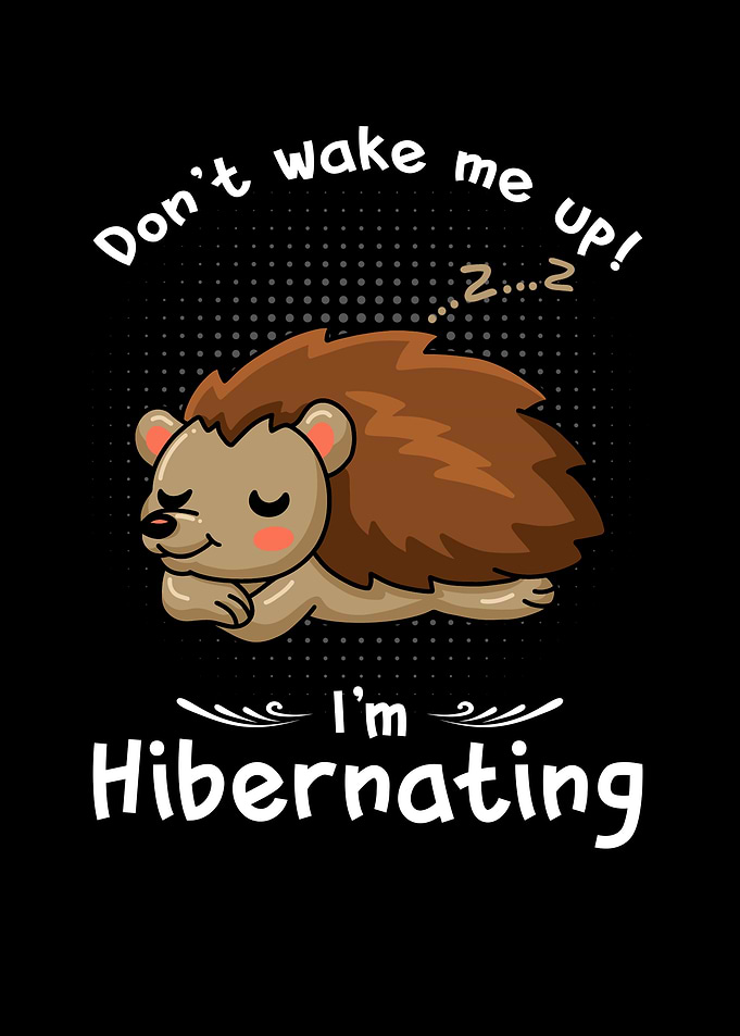 Dont wake me up Im
