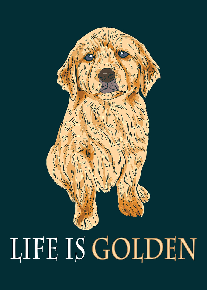 Life Is Golden Retriever