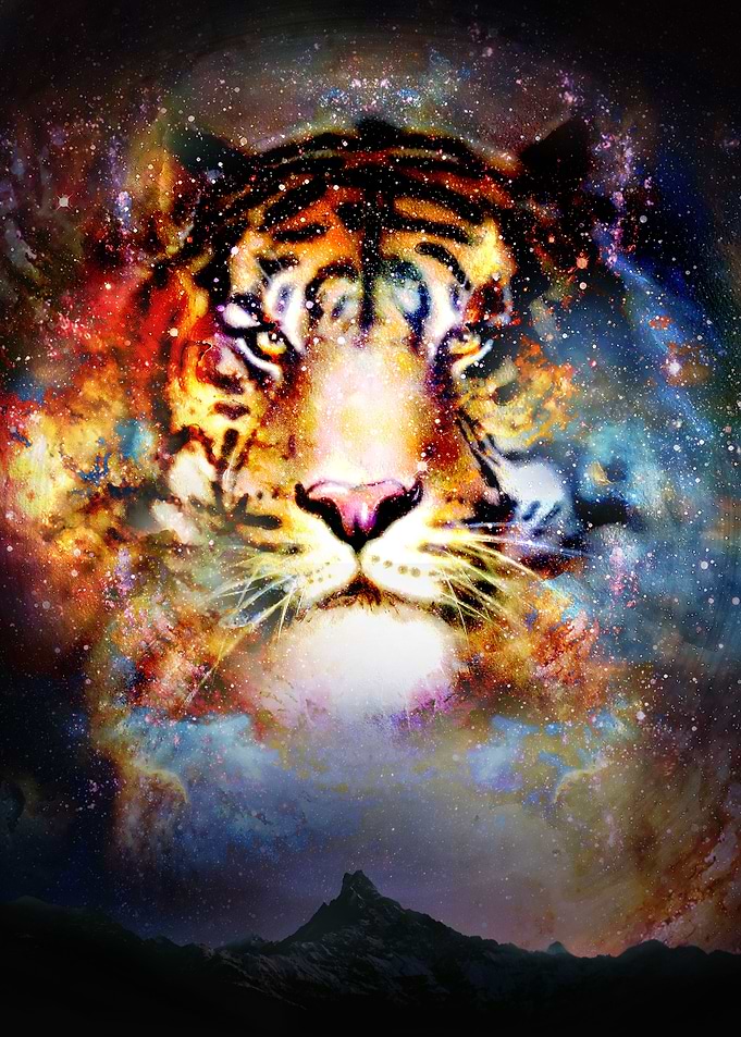 Tiger Galaxy